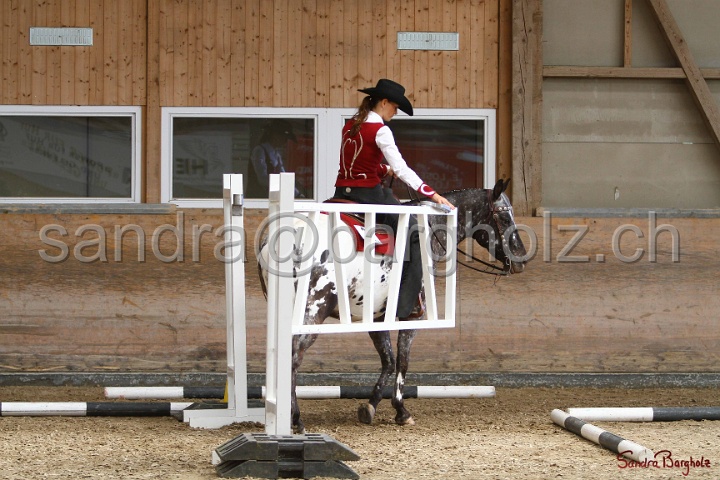 28-ApHC OT_272.jpg